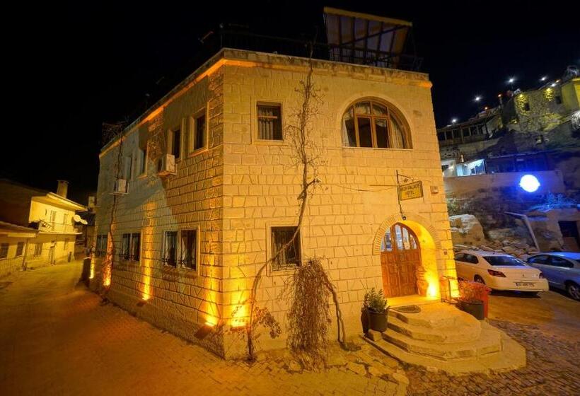 فندق Arch Palace