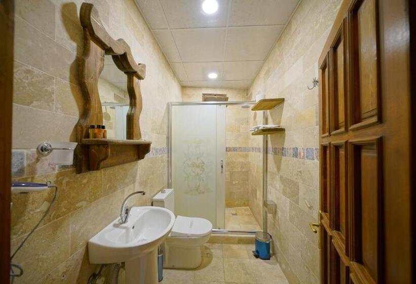 فندق Arch Palace