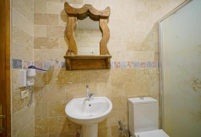 فندق Arch Palace