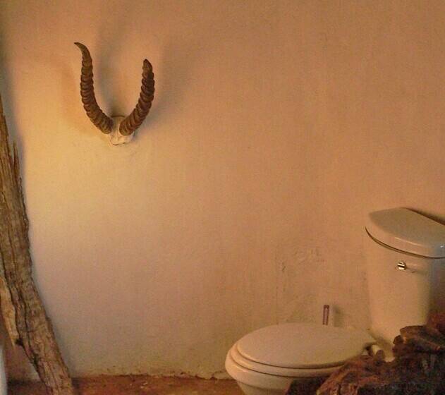 هتل Bongwe Kafue Camp