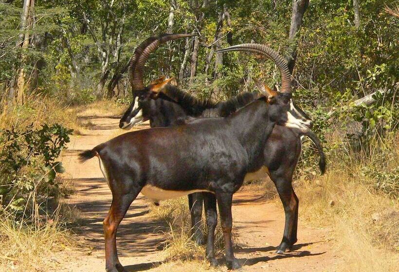 هتل Bongwe Kafue Camp