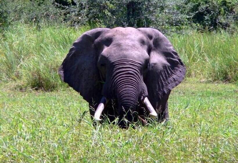 هتل Bongwe Kafue Camp