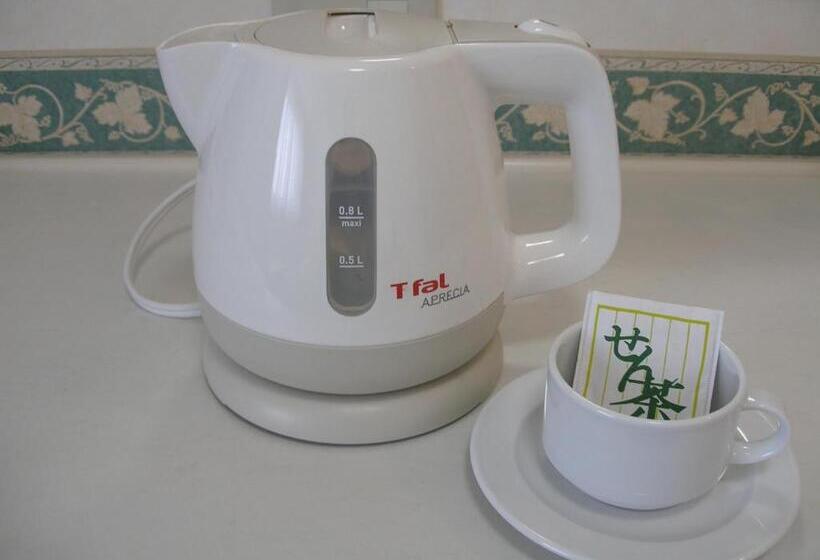 Hotel Check In Matsuyama