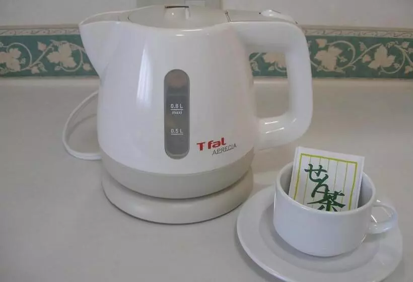 Hotel Check In Matsuyama