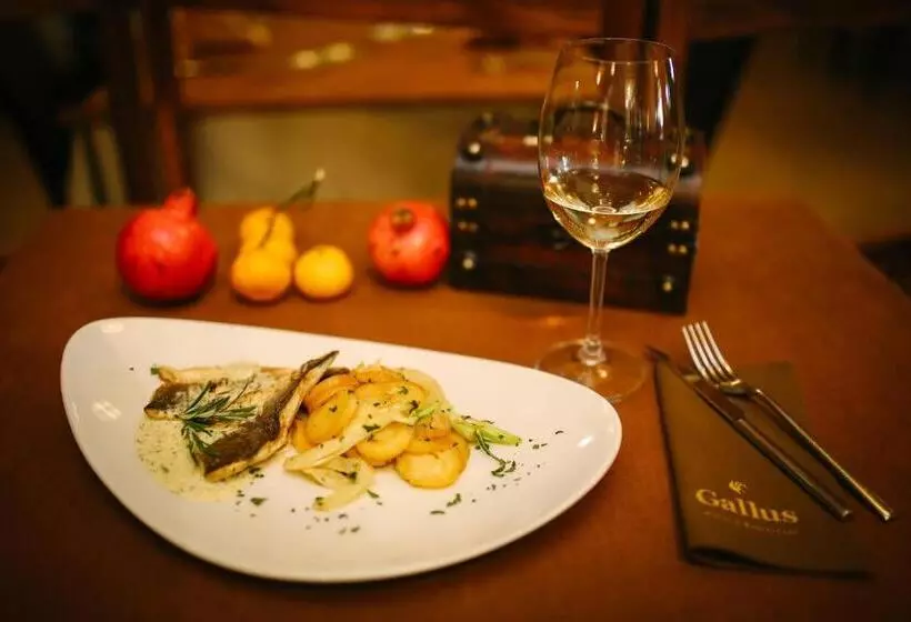 Hotel Gallus