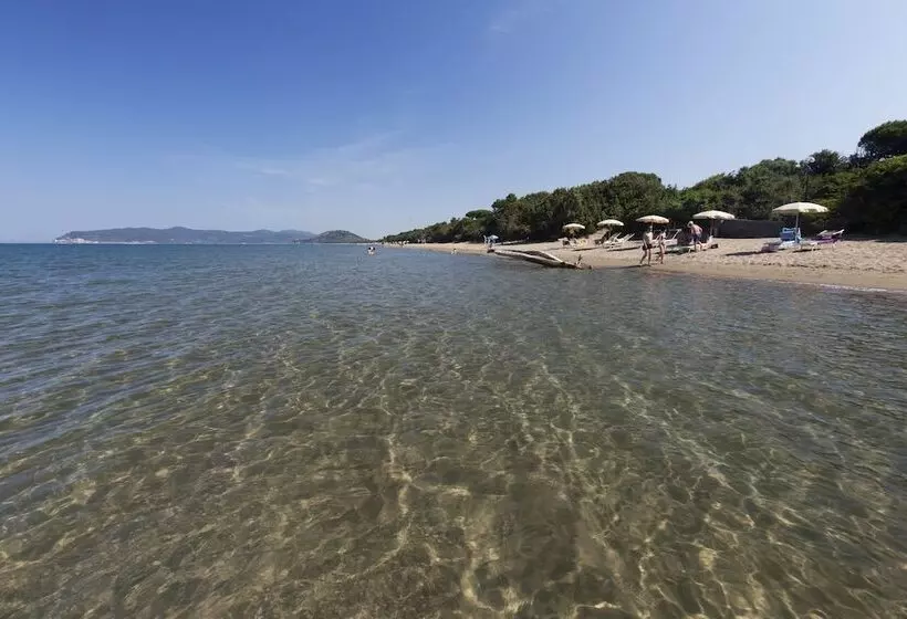 Отель Residence Pineta