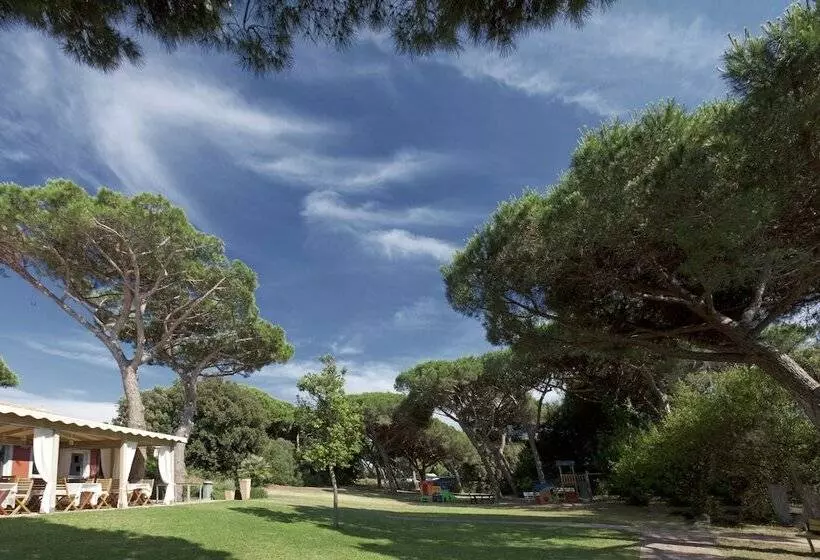 Отель Residence Pineta