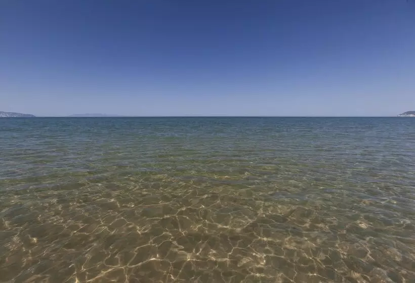 Отель Residence Pineta