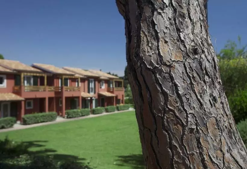 Отель Residence Pineta