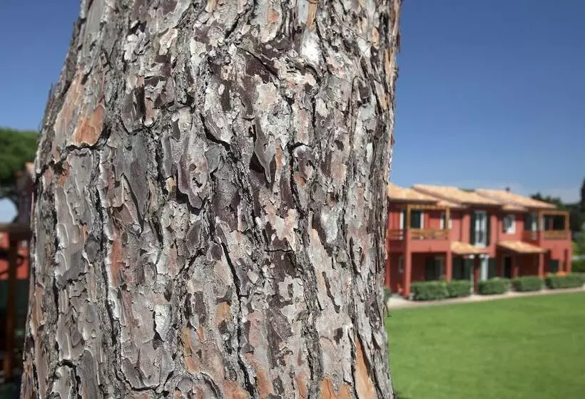 Отель Residence Pineta