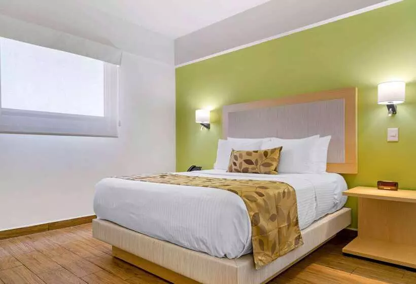 酒店 Sleep Inn Mazatlan