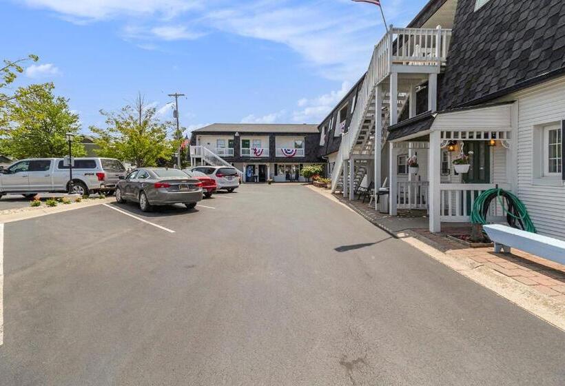 فندق Snyders Shoreline Inn