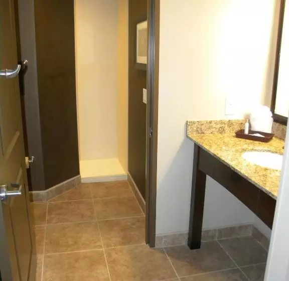 酒店 Teddy's Residential Suites Watford City