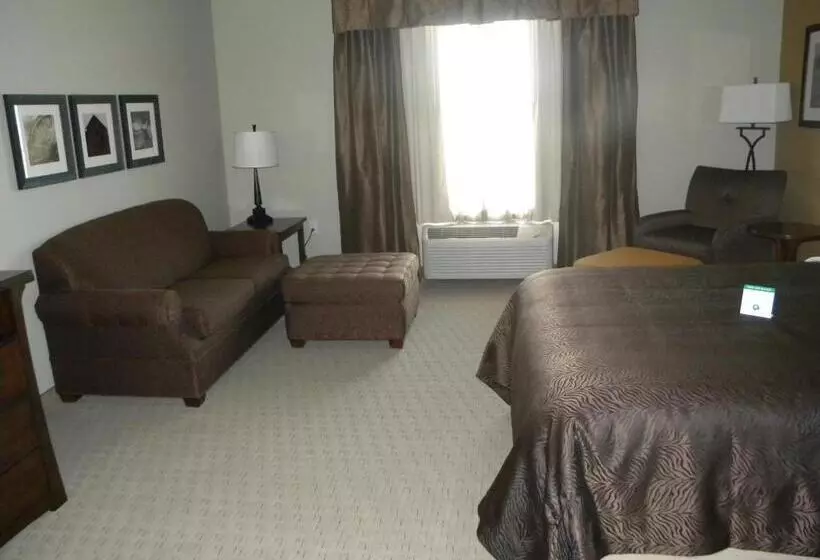 酒店 Teddy's Residential Suites Watford City