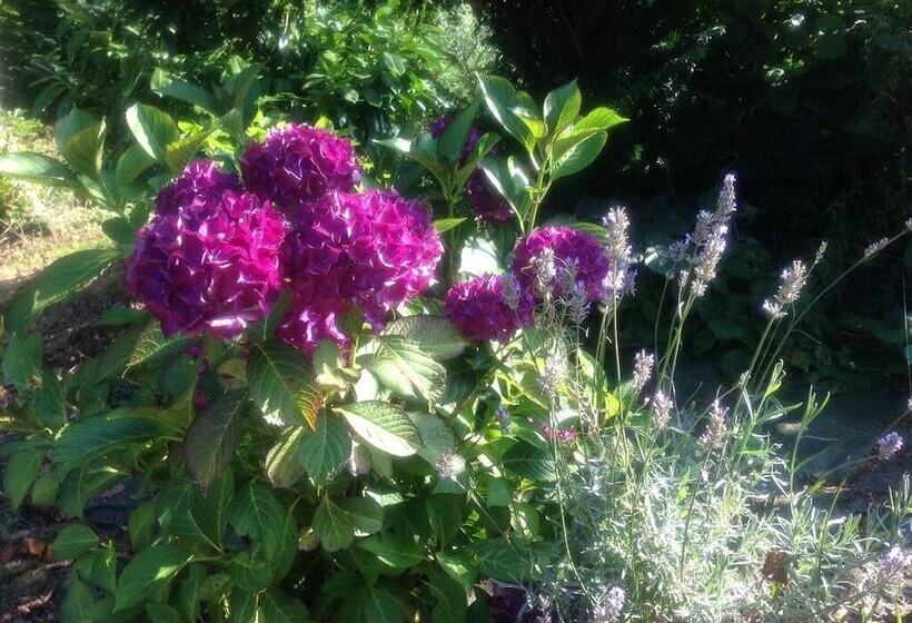 פנסיון Les Chambres Du Chateau De Grèges