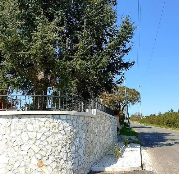 פנסיון Guest House Il Piccolo Borgo