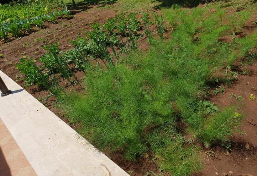 פנסיון Guest House Il Piccolo Borgo