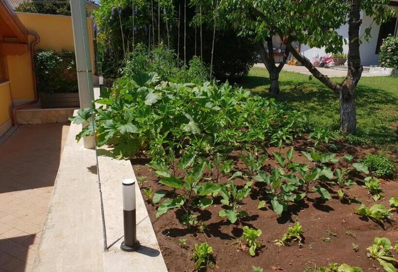 פנסיון Guest House Il Piccolo Borgo