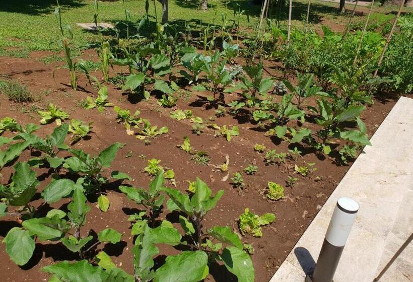 פנסיון Guest House Il Piccolo Borgo