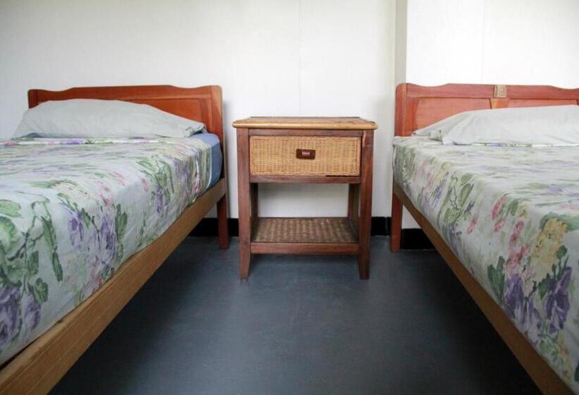 فندق صغير Bamboo Backpackers