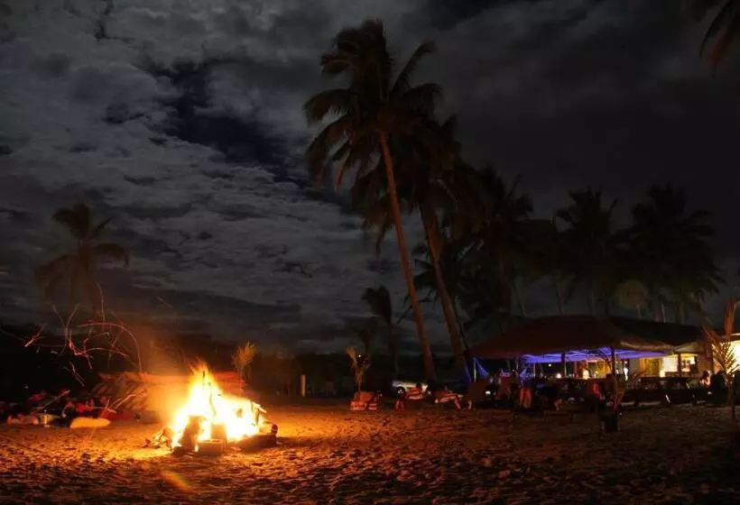 הוסטל Bamboo Backpackers