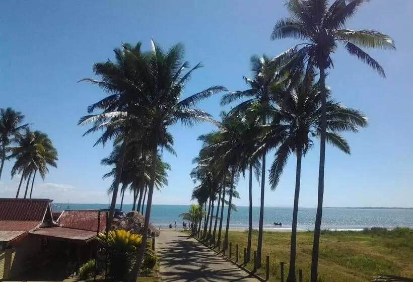 הוסטל Bamboo Backpackers