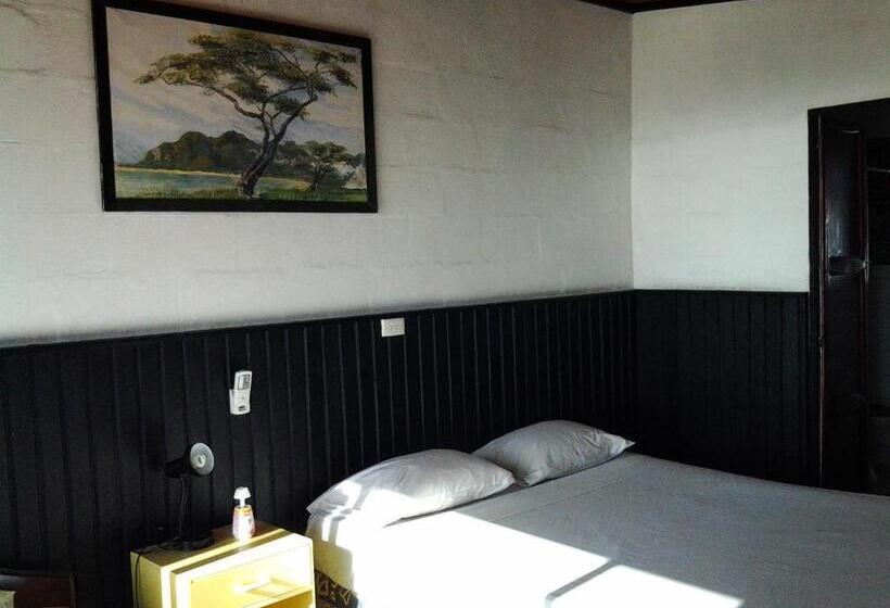 فندق صغير Bamboo Backpackers