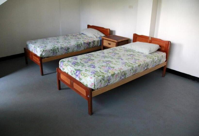 فندق صغير Bamboo Backpackers