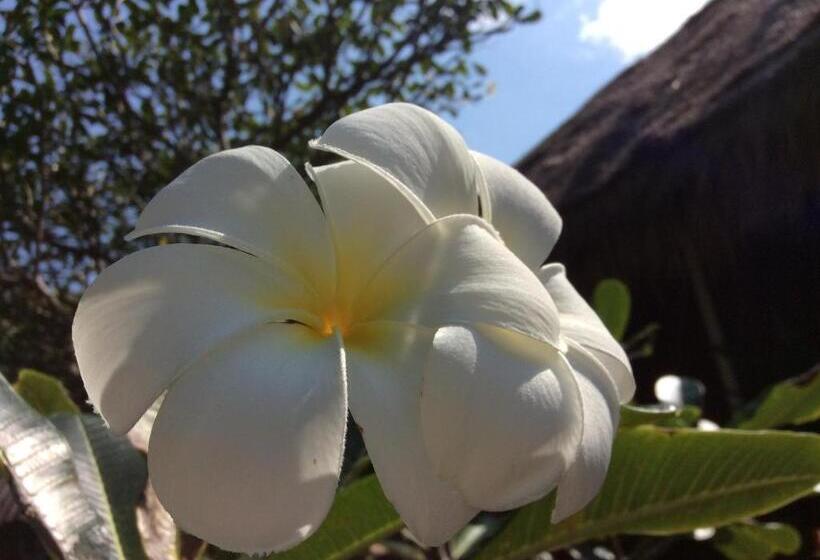 Bow Thong Beach Resort