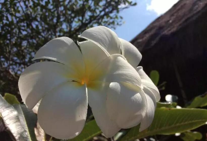 Bow Thong Beach Resort