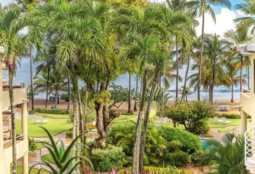 Отель Cabarete Palm Beach Condos