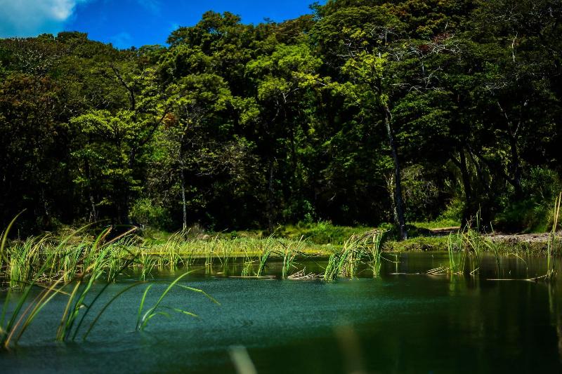 هتل Montana Monteverde