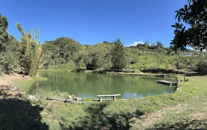 בית מלון כפרי Montana Monteverde