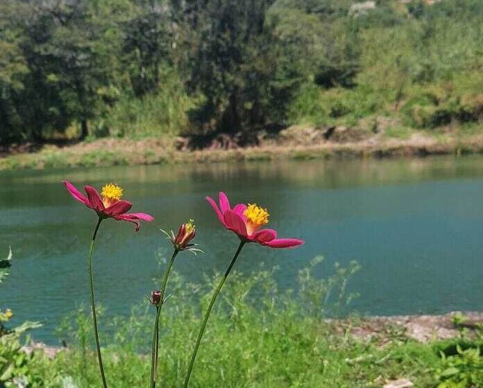 هتل Montana Monteverde