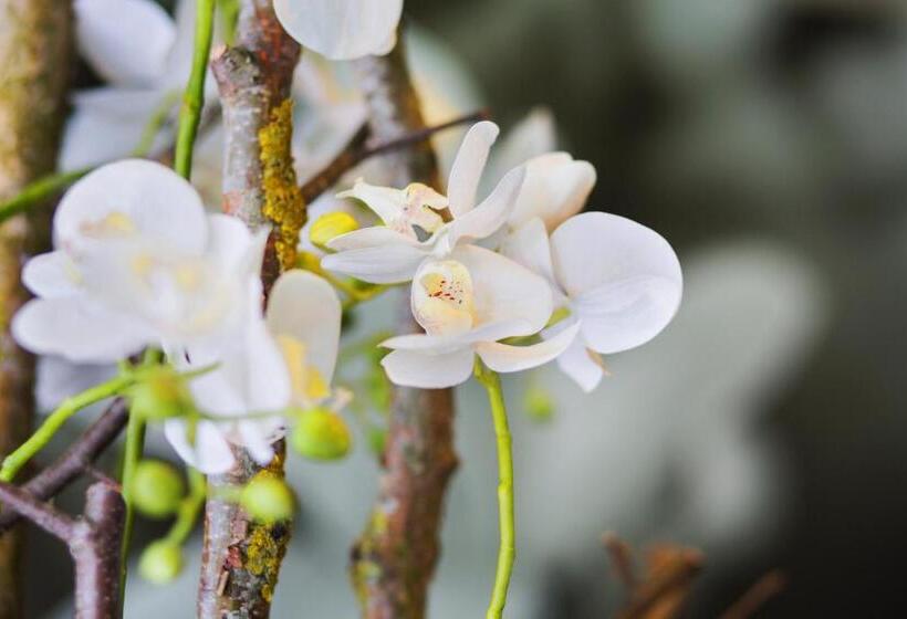 Riku Hotel Weißenhorn