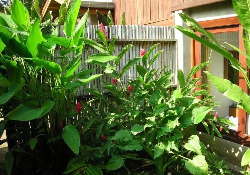 بنسيون Chiang Maan Residence