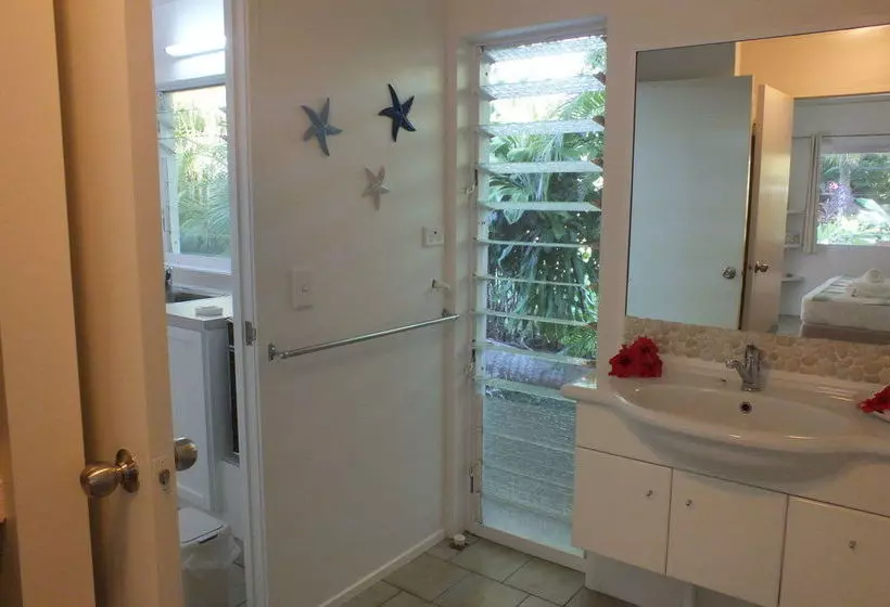 Rarotonga Daydreamer Escape