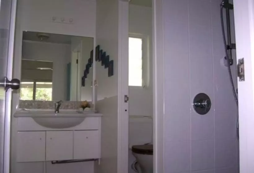 Rarotonga Daydreamer Escape