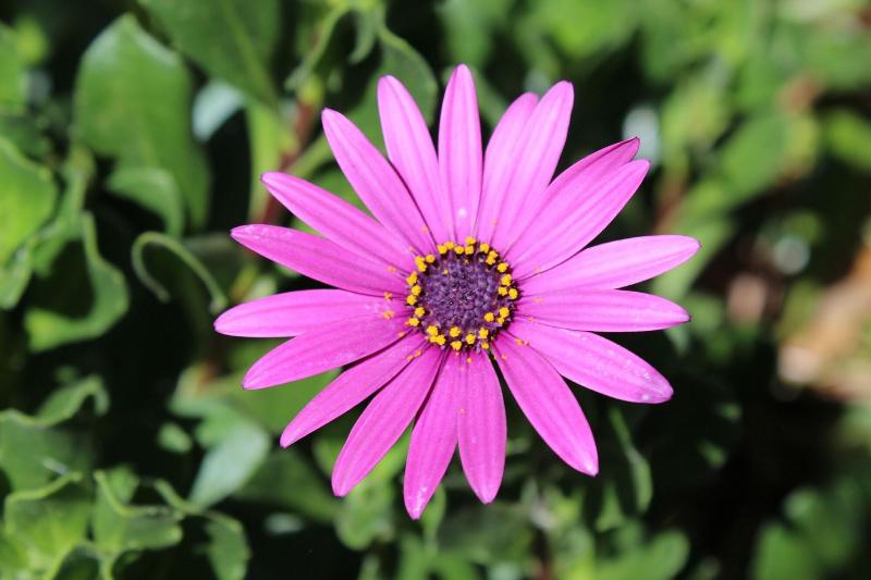 12 Apostles Cottages