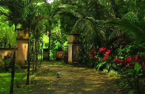 فندق Forest Hills Suites