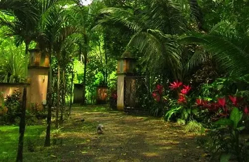 Отель Forest Hills Suites