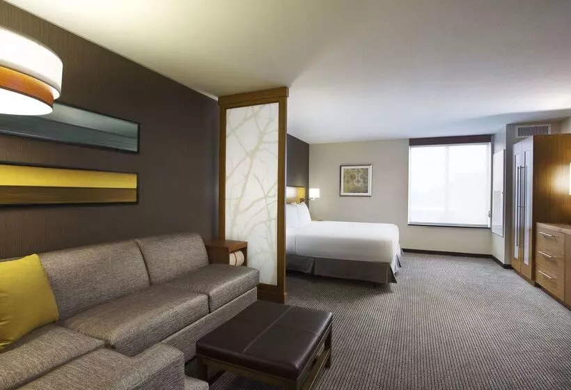 Otel Hyatt Place Chicago Midway Airport