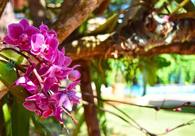هتل Pousada Terra Madre