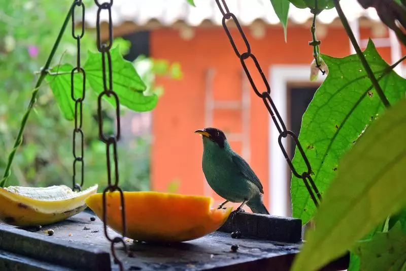 هتل Pousada Terra Madre