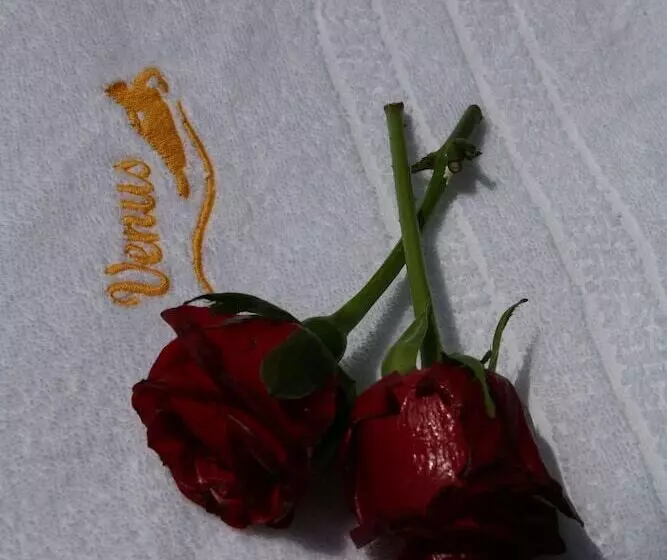 酒店 Regis Resort & Wellness