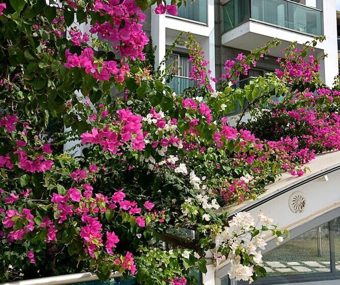 酒店 Royal Palm Residence