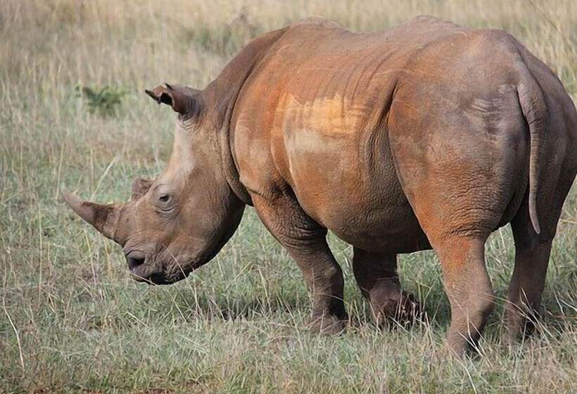 בית מלון כפרי Thandeka Game Lodge & Spa