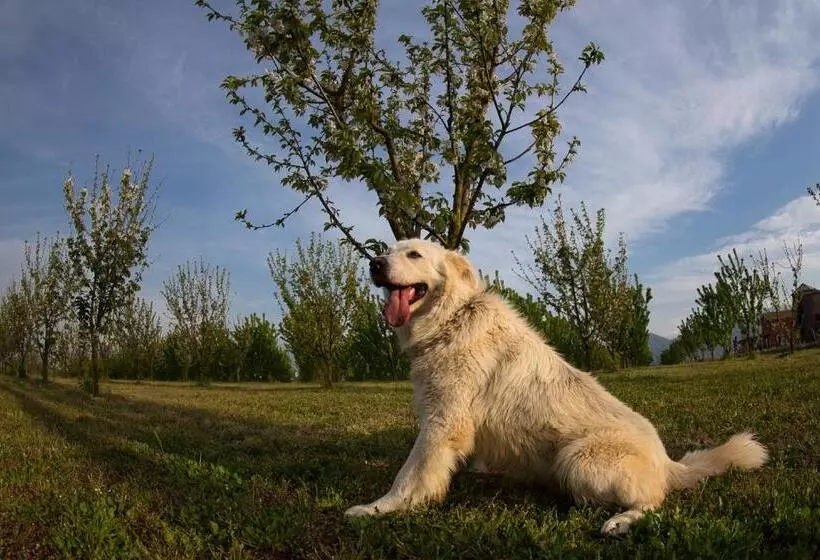 Tenuta Terre Dei Latini