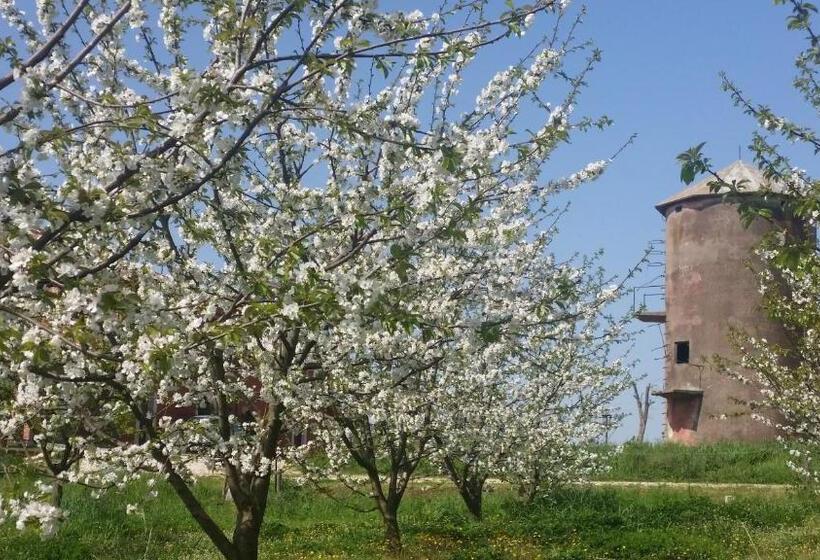 Tenuta Terre Dei Latini