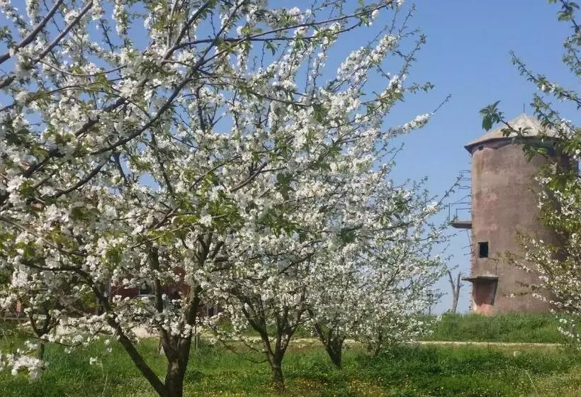 Tenuta Terre Dei Latini